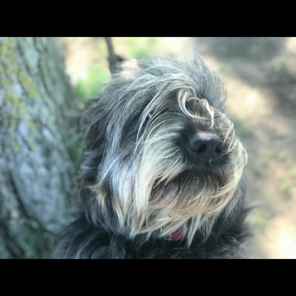 Meet your Posher, Paige